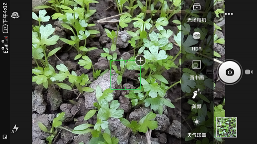 Love's Philosophy——么么哒3N体验记