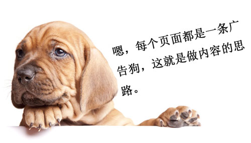 做内容应该以营销为目的