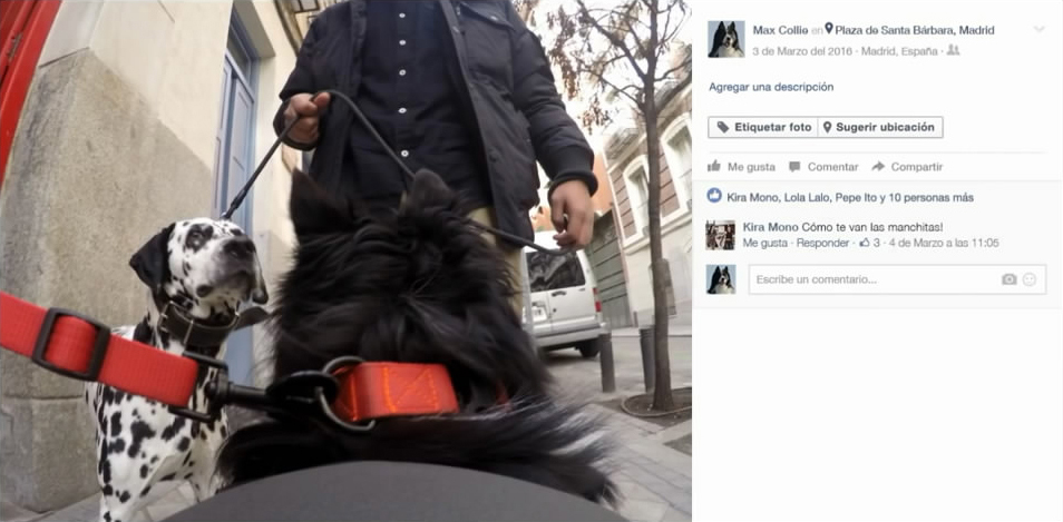 fb8a