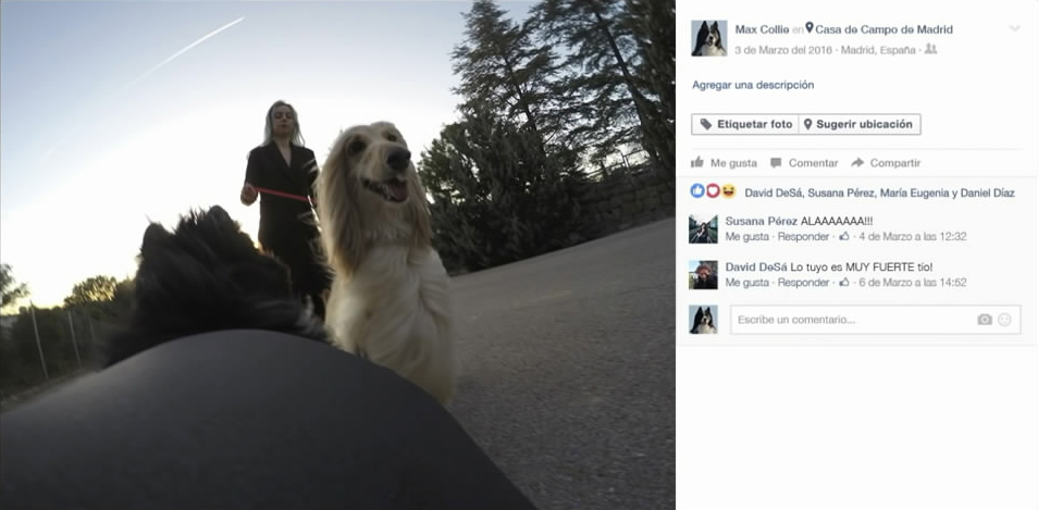 fb9a