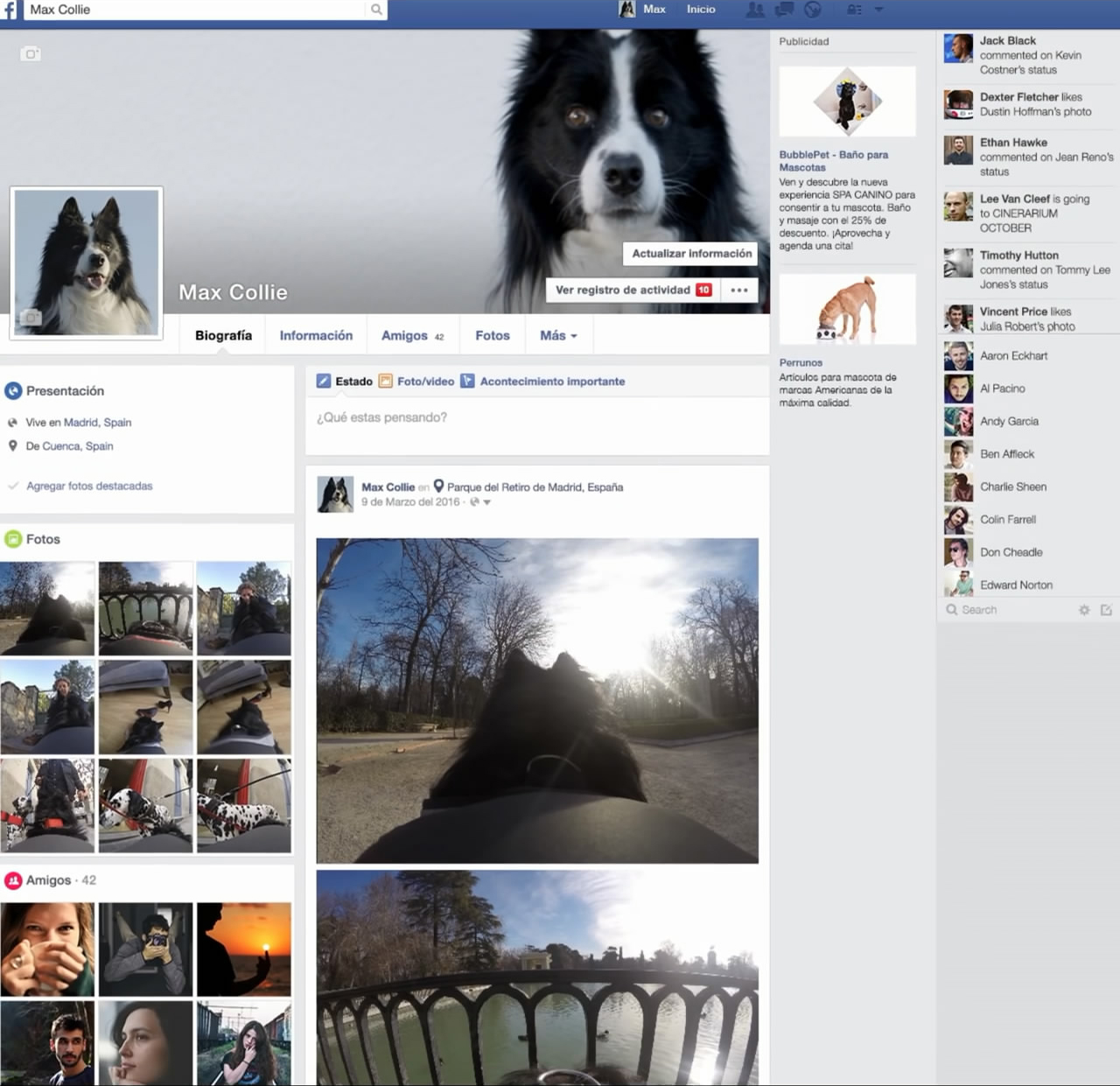 fbpage