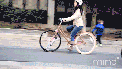 wheelg3