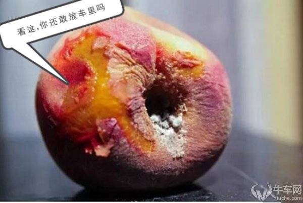 新车除味