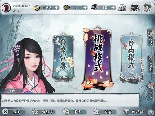 大琴师贰