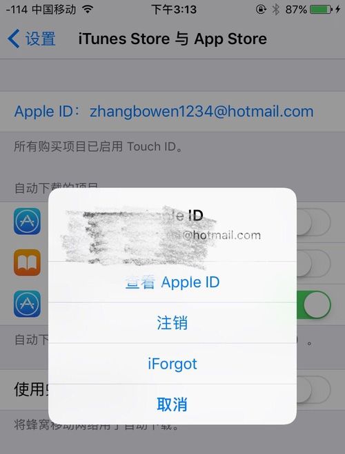 精灵宝可梦GO