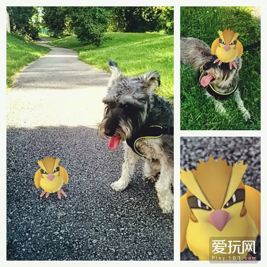 世界之大无奇不有 那些年玩《PokemonGo》的故事