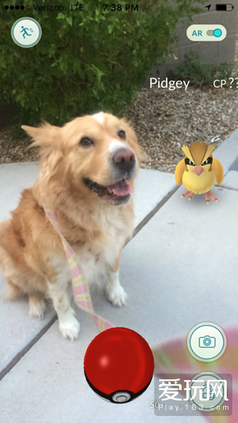 世界之大无奇不有 那些年玩《PokemonGo》的故事