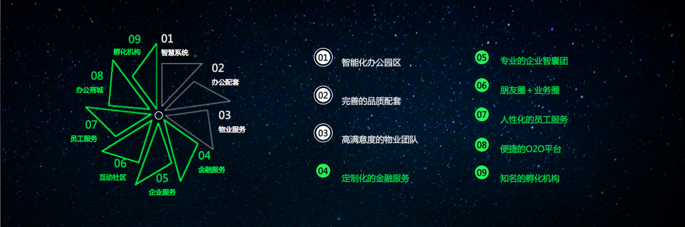 图片13