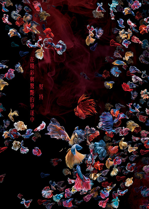 不只要美，还要够狠 —— 龍壐创意奖超惊艳平面主视觉