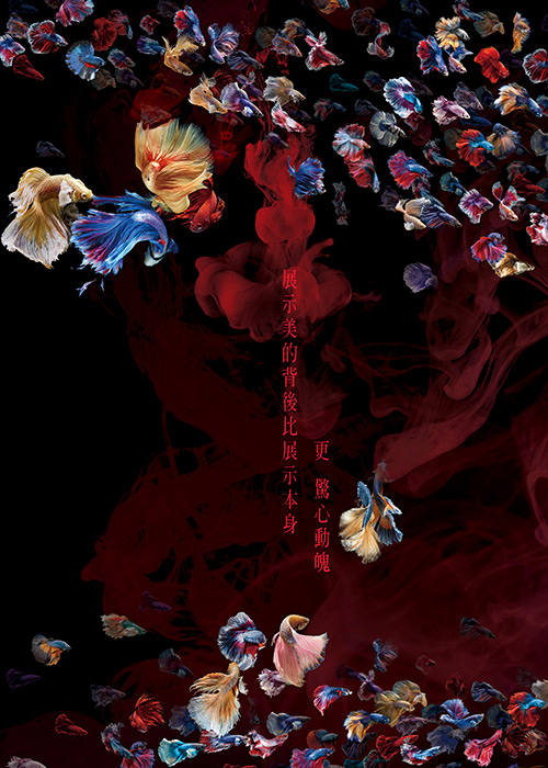 不只要美，还要够狠 —— 龍壐创意奖超惊艳平面主视觉