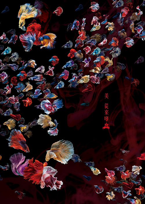 不只要美，还要够狠 —— 龍壐创意奖超惊艳平面主视觉