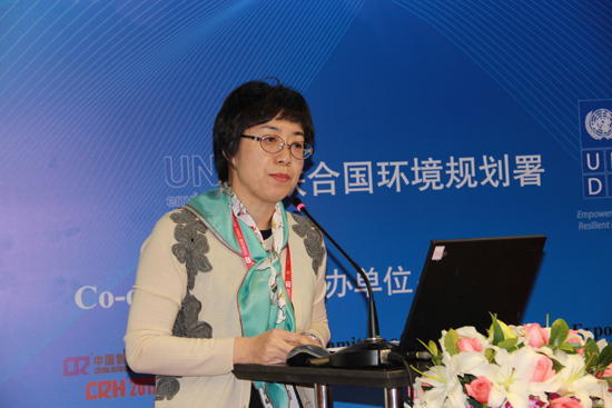 UNDP蒙特利尔议定书和化学品项目部主管周晓芳