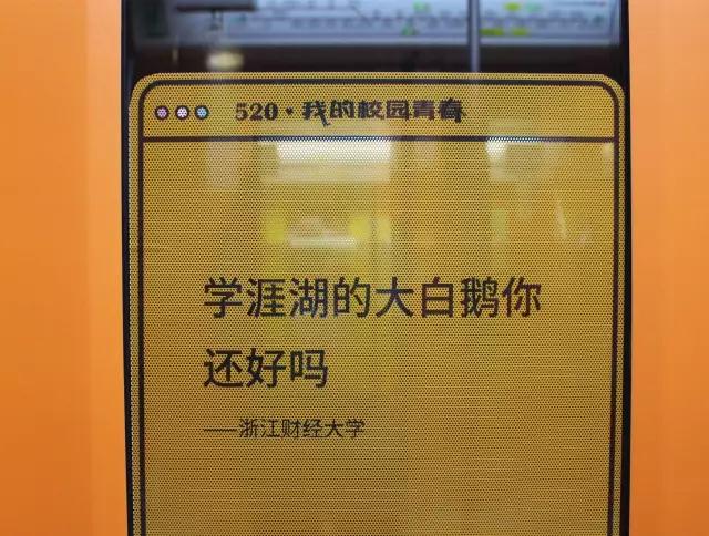 这列名叫“青春号”地下铁，载满了12所大学的表白文案