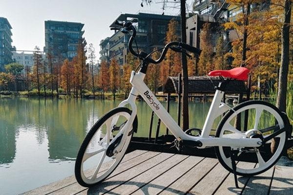 小白单车：躲避巨头就能提高幸存率吗？