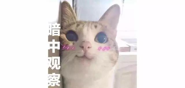 穷、背锅、过劳肥…62条广告人自爆与自救指南