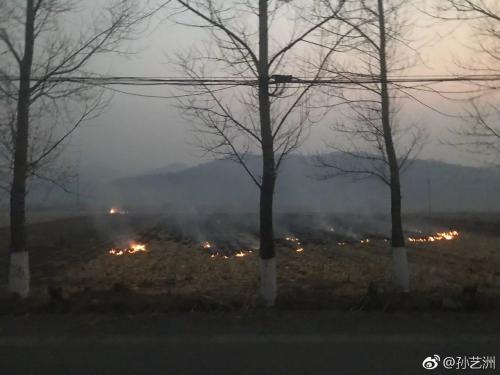 哈尔滨污染太严重，这位明星被呛惨，他做了个调查发现…