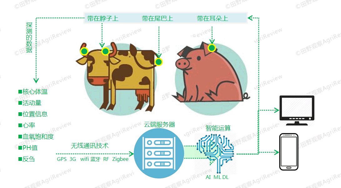 温氏、网易、硅谷，谁会是养猪的未来？        