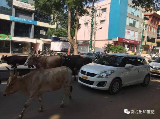 　班加罗尔街头