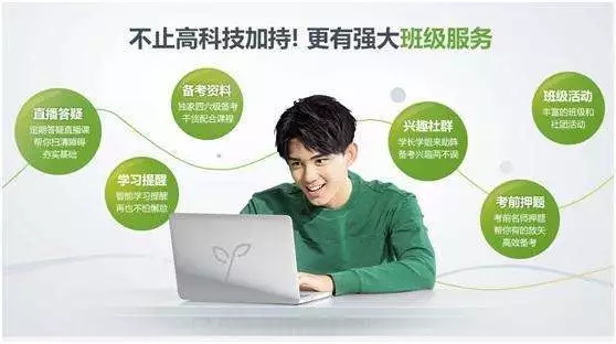 1000.webp (1)