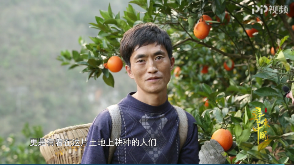 图片3