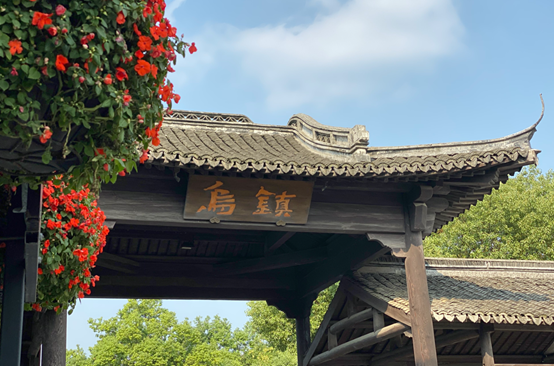乌镇时间进入第二天！5G成新贵 AI论坛依然爆满