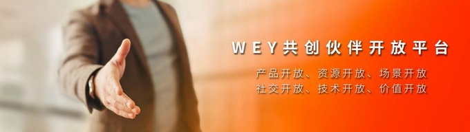 倾橙之作活力无限VV5元气橙版14.68万元上市-图7