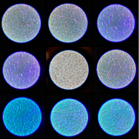 577D21654662A21A986019607BA046C230822690_size174_w457_h459.jpg