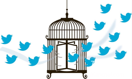 Twitter高管更替如走马灯 增长战略仍未奏效